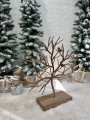 IMG_1574.jpeg