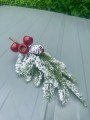 IMG_1763.jpeg
