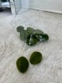IMG_1841.jpeg