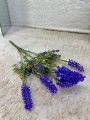 IMG_1853.jpeg