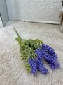 IMG_1854.jpeg
