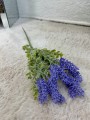 IMG_1855.jpeg