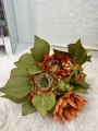 IMG_1856.jpeg