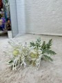 IMG_1862.jpeg