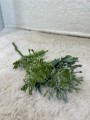 IMG_1867.jpeg