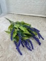 IMG_1865.jpeg