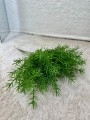 IMG_1869.jpeg