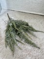 IMG_1872.jpeg