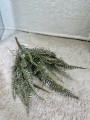 IMG_1873.jpeg