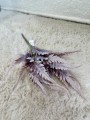 IMG_1874.jpeg