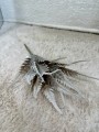 IMG_1880.jpeg