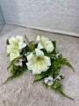 IMG_1903.jpeg