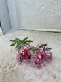 IMG_1905.jpeg