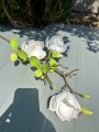 IMG_2372.jpeg