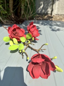 Magnolia piankowa czerwona 90 
