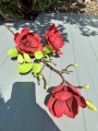 IMG_2374.jpeg