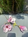 IMG_2376.jpeg
