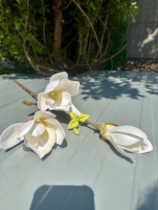 Magnolia piankowa biała 80