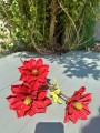IMG_2380.jpeg