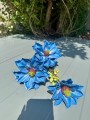IMG_2382.jpeg
