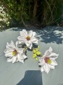 IMG_2384.jpeg