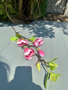 Magnolia piankowa różowa 95