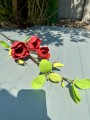 IMG_2392.jpeg