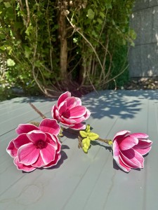 Magnolia piankowa różowa  75  