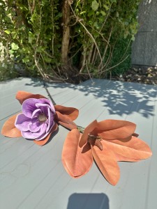 Magnolia piankowa jesienna fioletowa 90