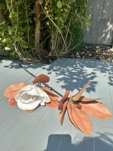 Magnolia piankowa jesienna biała 90