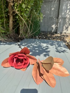 Magnolia piankowa jesienna czerwona 90