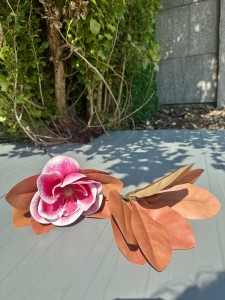 Magnolia piankowa jesienna różowa 90