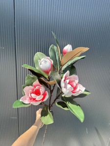 Magnolia piankowa różowa 110