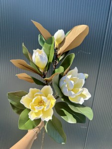 Magnolia piankowa biała 110 