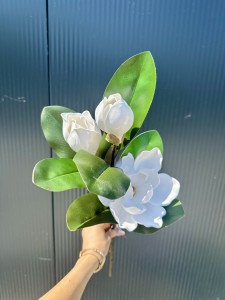 Magnolia piankowa biała 75 