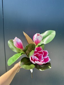 Magnolia piankowa różowa 75  