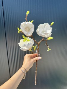 Magnolia piankowa biała 55 