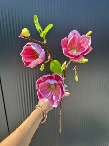 Magnolia piankowa różowa 55  