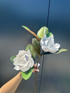 Magnolia piankowa biała 75
