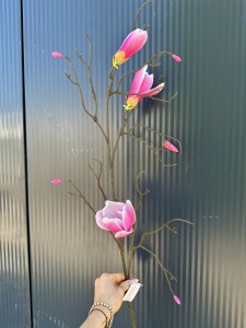 Magnolia piankowa różowa  105 