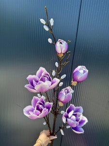 Magnolia piankowa fioletowa 125