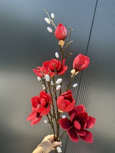 Magnolia piankowa czerwona 125 