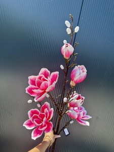 Magnolia piankowa różowa 125 