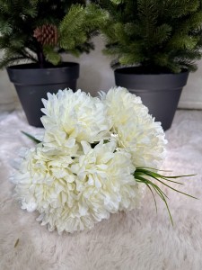 Chryzantema bukiet ecru 60  