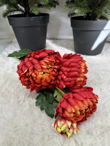 Chryzantema bukiet czerwony 60 