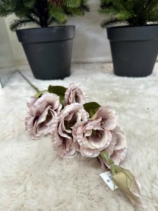 Eustoma pudrowa 85 