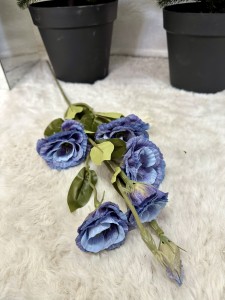 Eustoma niebieska 85 