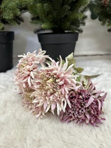 Chryzantema bukiet ombre 40   