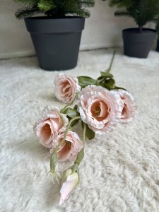 Eustoma pudrowa 85  