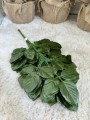 IMG_4498.jpeg